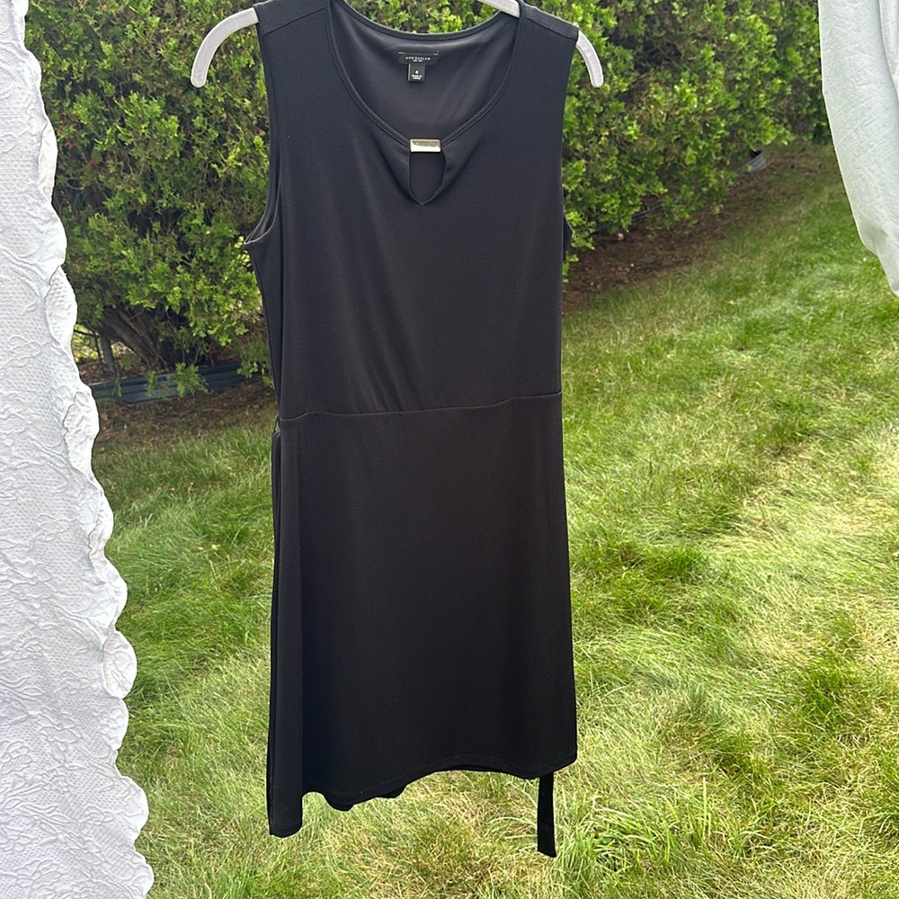 ann taylor dress